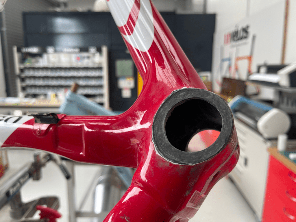 Damaged Colnago Shell